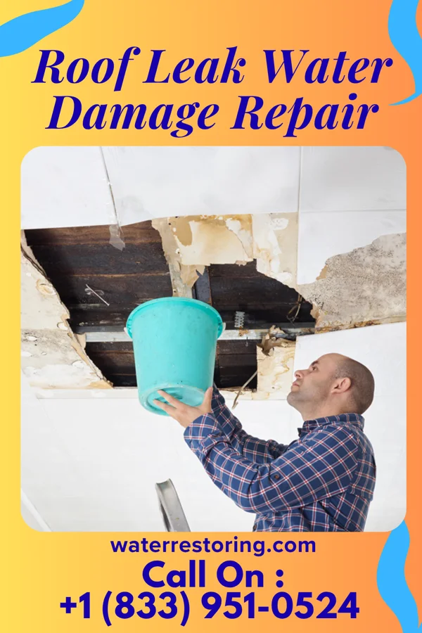 Roof Leak Water Damage Repair in Davis, SD